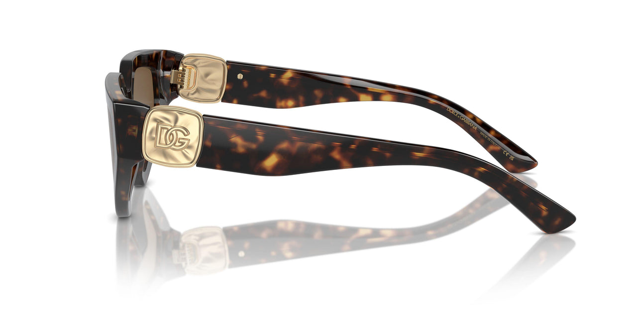 502/73 - Tortoise - Dark Brown