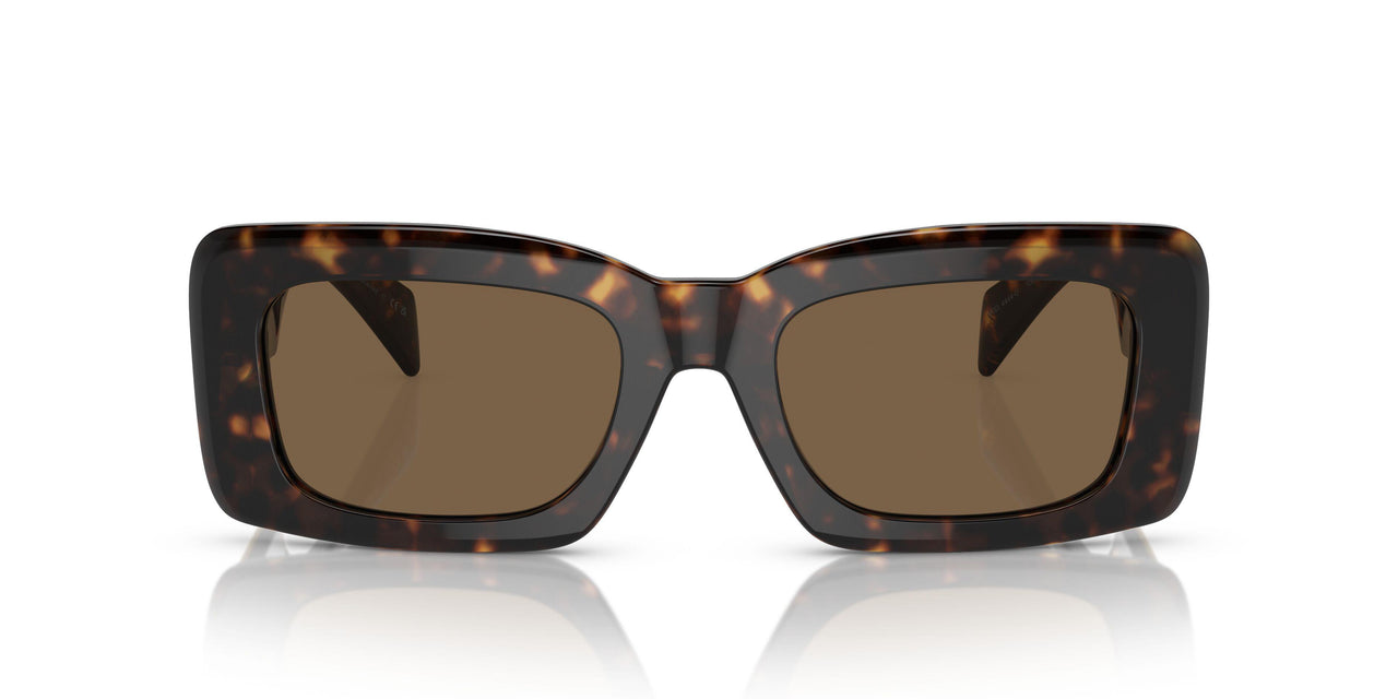 108/73 - Tortoise - Dark Brown