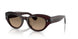 1817GN - Brown - Sandstone Gradient Polarized