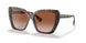 398213 - Brown - Brown Gradient