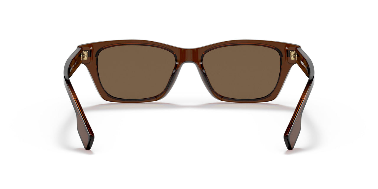 398673 - Brown - Dark Brown