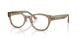 5051 - Brown