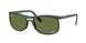 Ray-Ban 4452CH Sunglasses