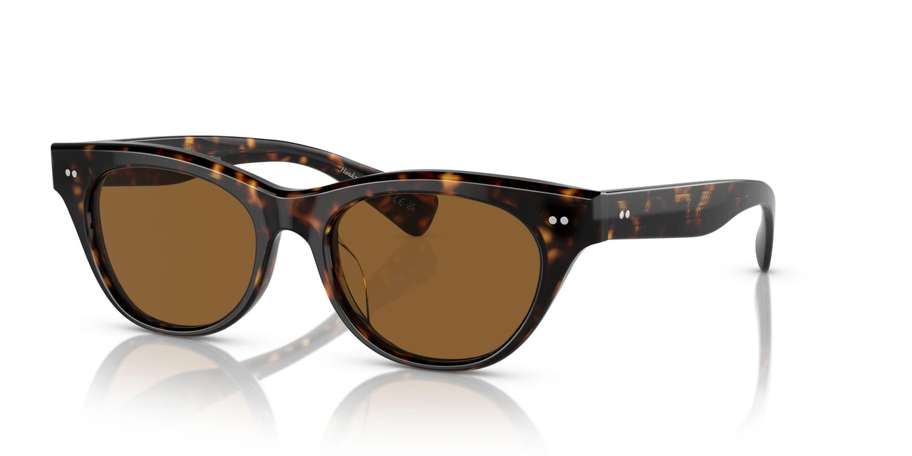 100953 - Tortoise - True Brown
