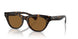 100953 - Tortoise - True Brown