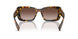 VAU6S1 - Tortoise - Brown Gradient