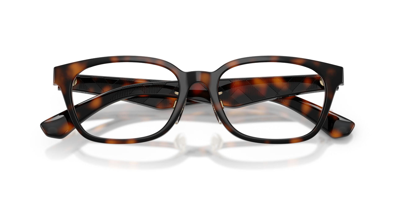 3002 - Brown