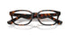 3002 - Brown