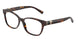 8015 - Tortoise