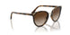 W65613 - Brown Gradient