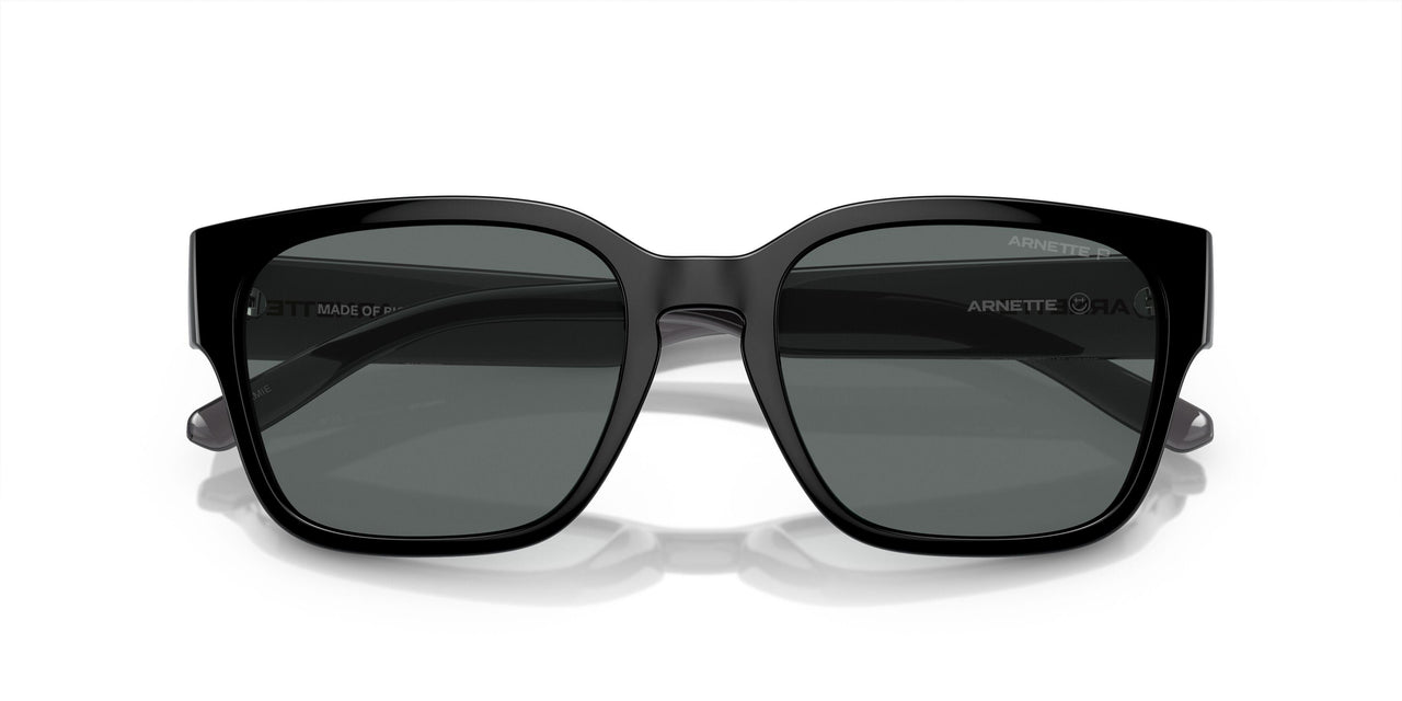 291081 - Black - Polarized Dark Grey