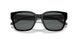 291081 - Black - Polarized Dark Grey