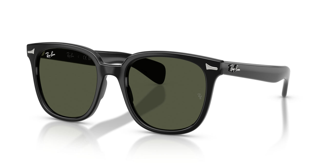 Ray-Ban Brunel Ii 2235 Sunglasses