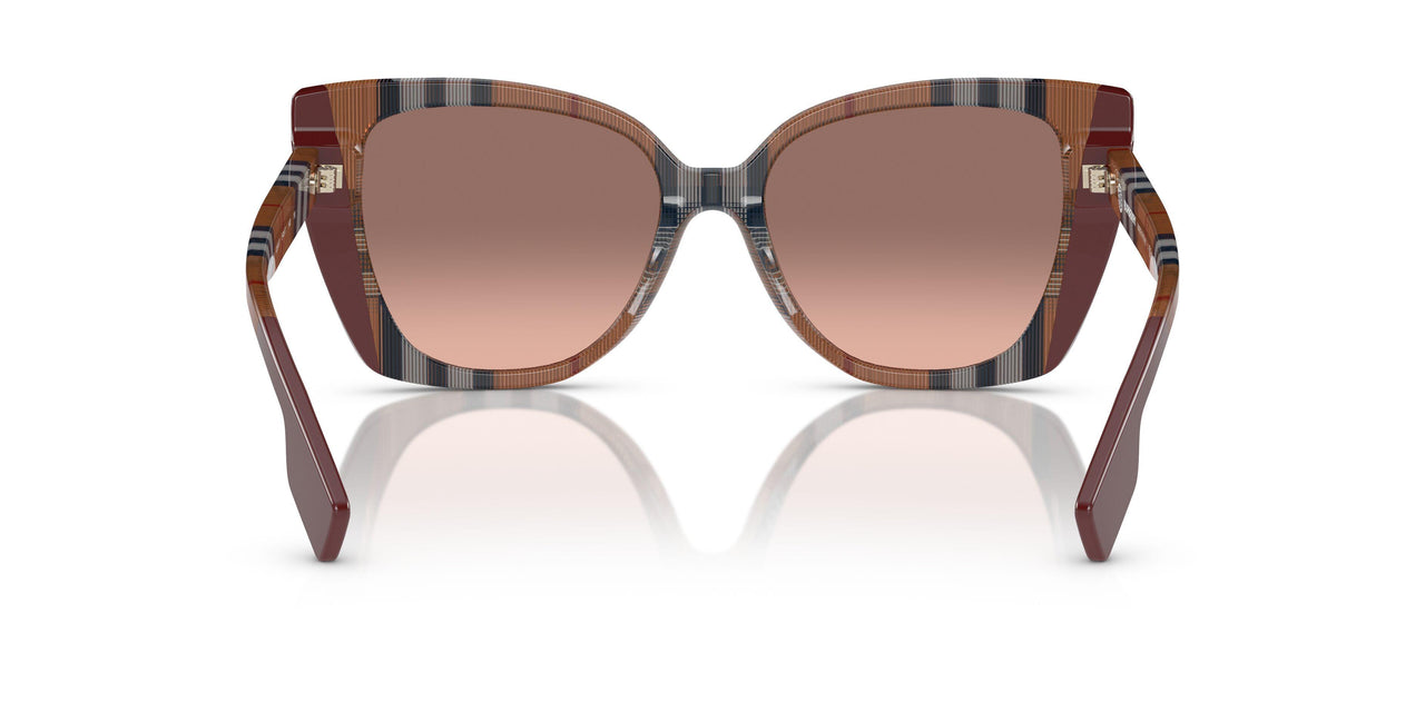 405413 - Brown - Pink Gradient Dark Brown