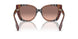405413 - Brown - Pink Gradient Dark Brown