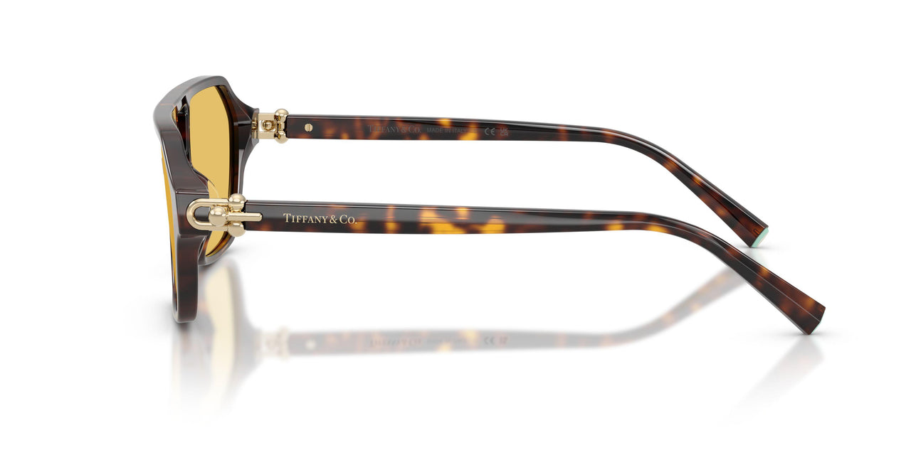 801585 - Tortoise - Yellow