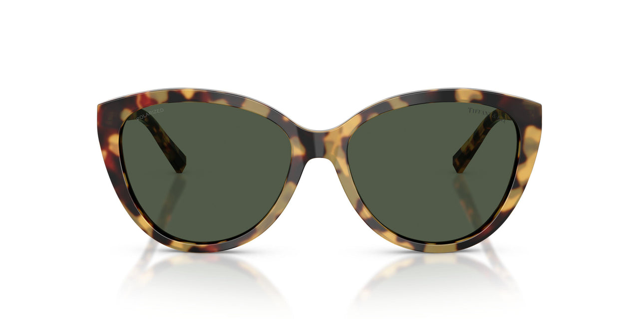 80649A - Tortoise - Polar Green