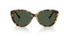 80649A - Tortoise - Polar Green