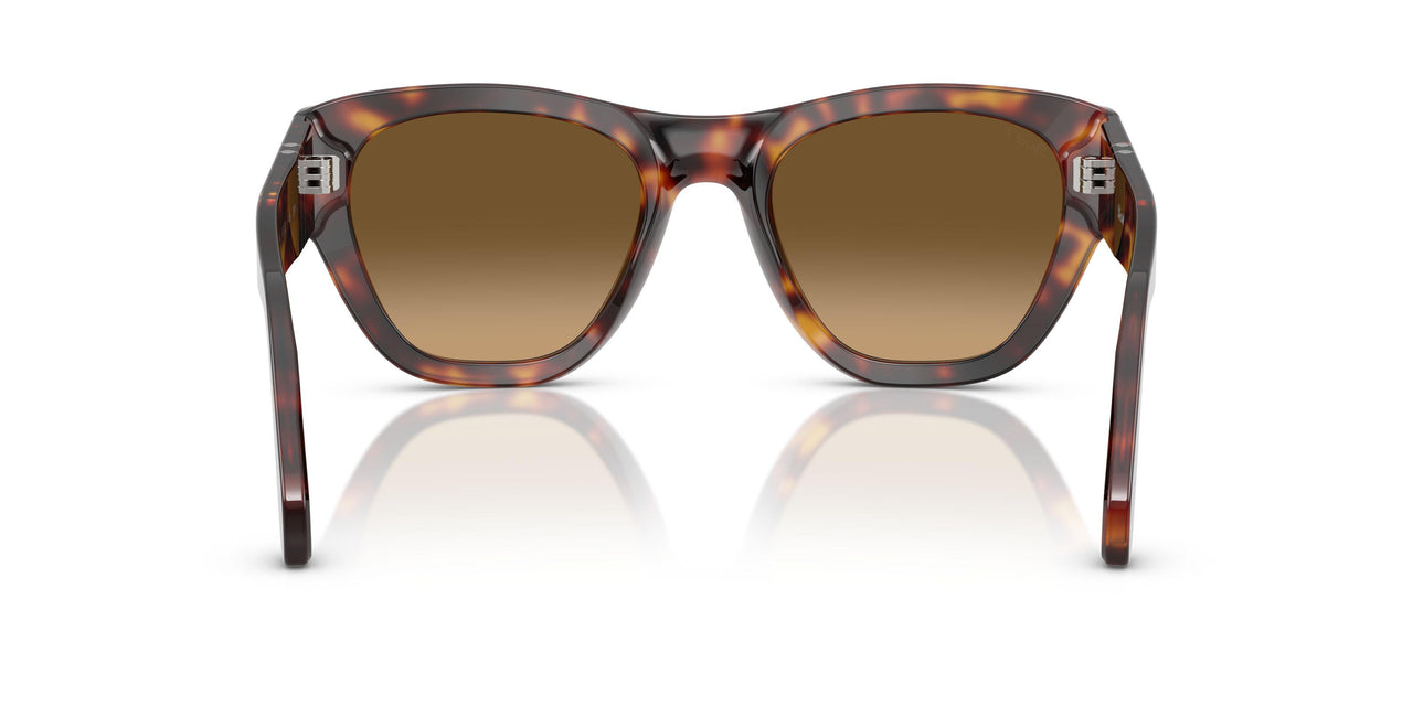 24/M2 - Tortoise - Brown Gradient Brown - Polar
