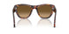 24/M2 - Tortoise - Brown Gradient Brown - Polar