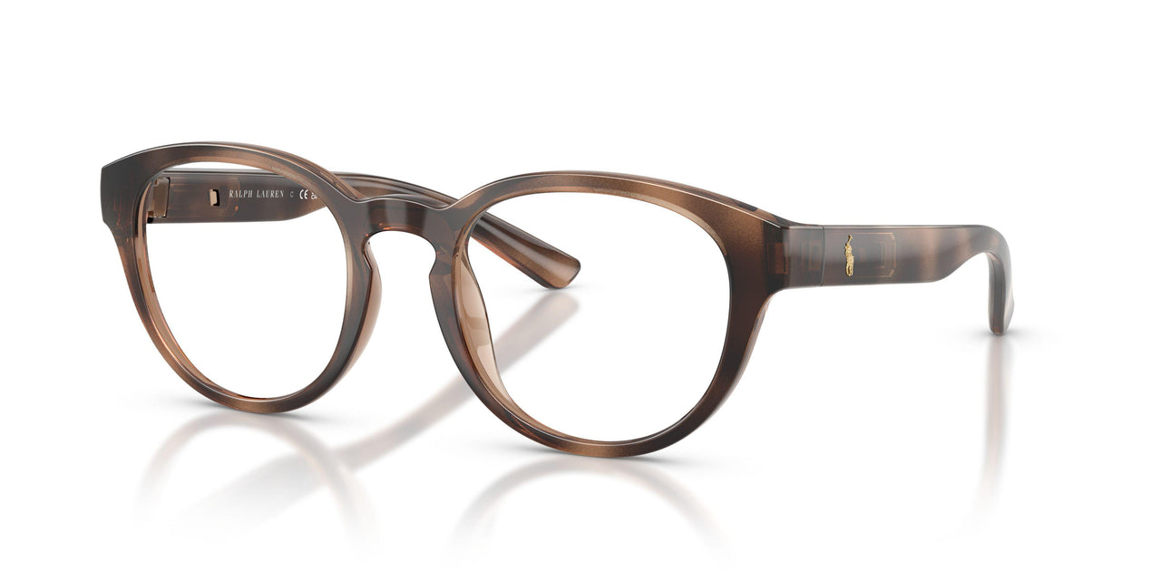 6070 - Tortoise