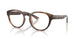 6070 - Tortoise