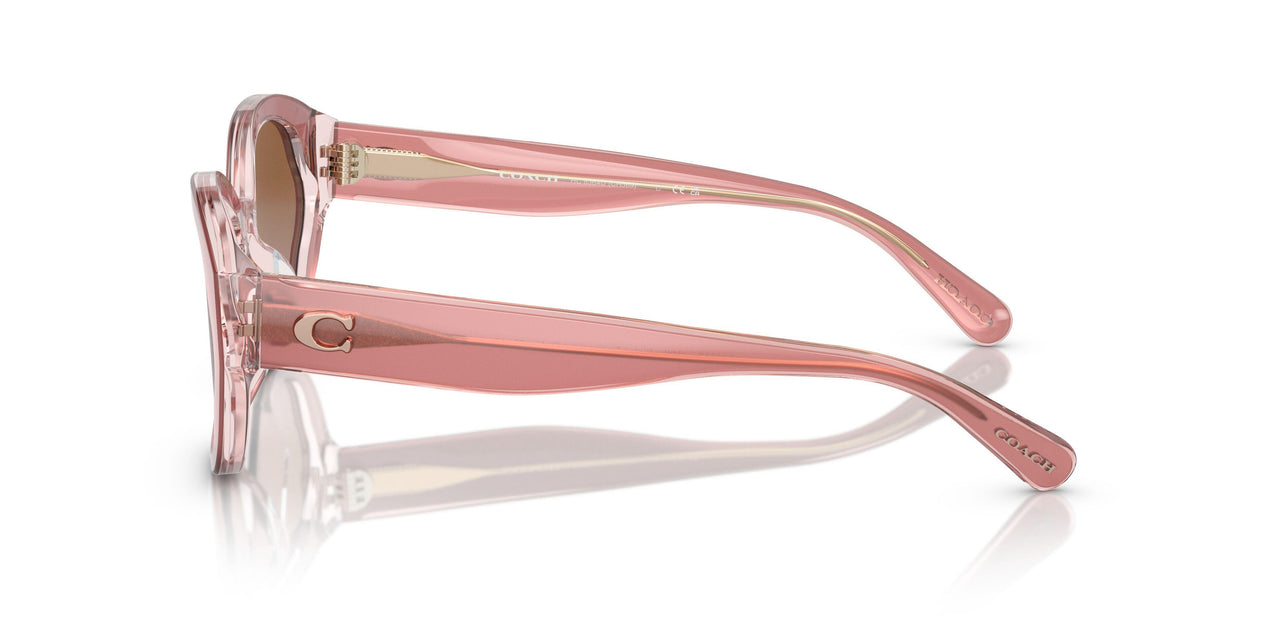 574313 - Pink - Brown Gradient