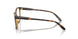 W656 - Brown