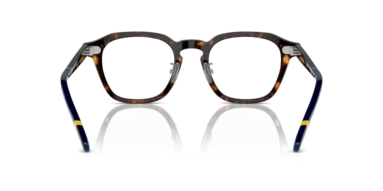 5003 - Tortoise