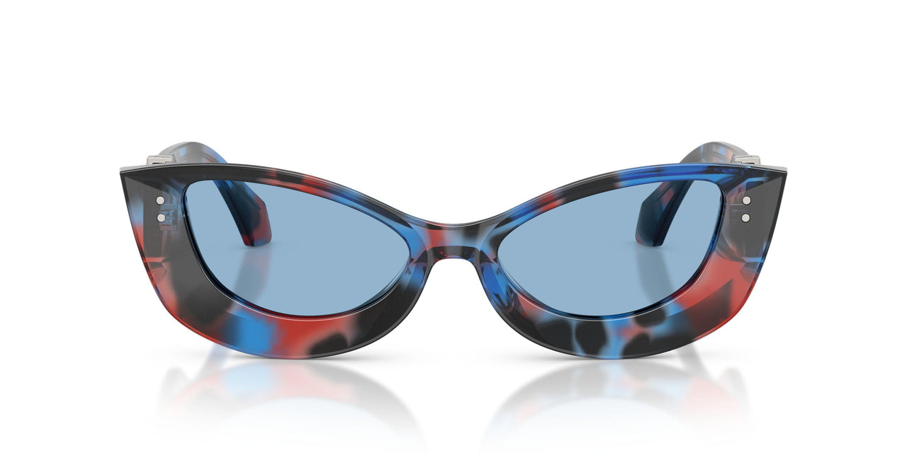 555572 - Tortoise - Light Blue