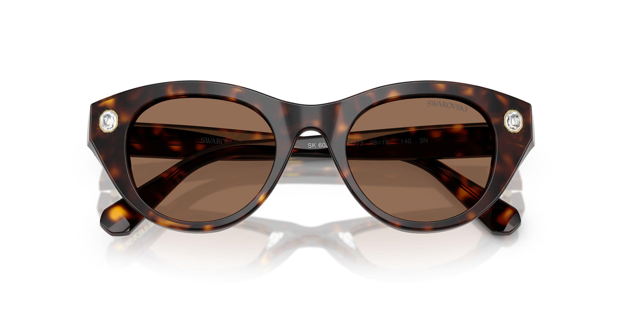 100273 - Tortoise - Dark Brown