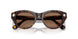 100273 - Tortoise - Dark Brown