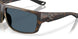912911 - Tortoise - Gray