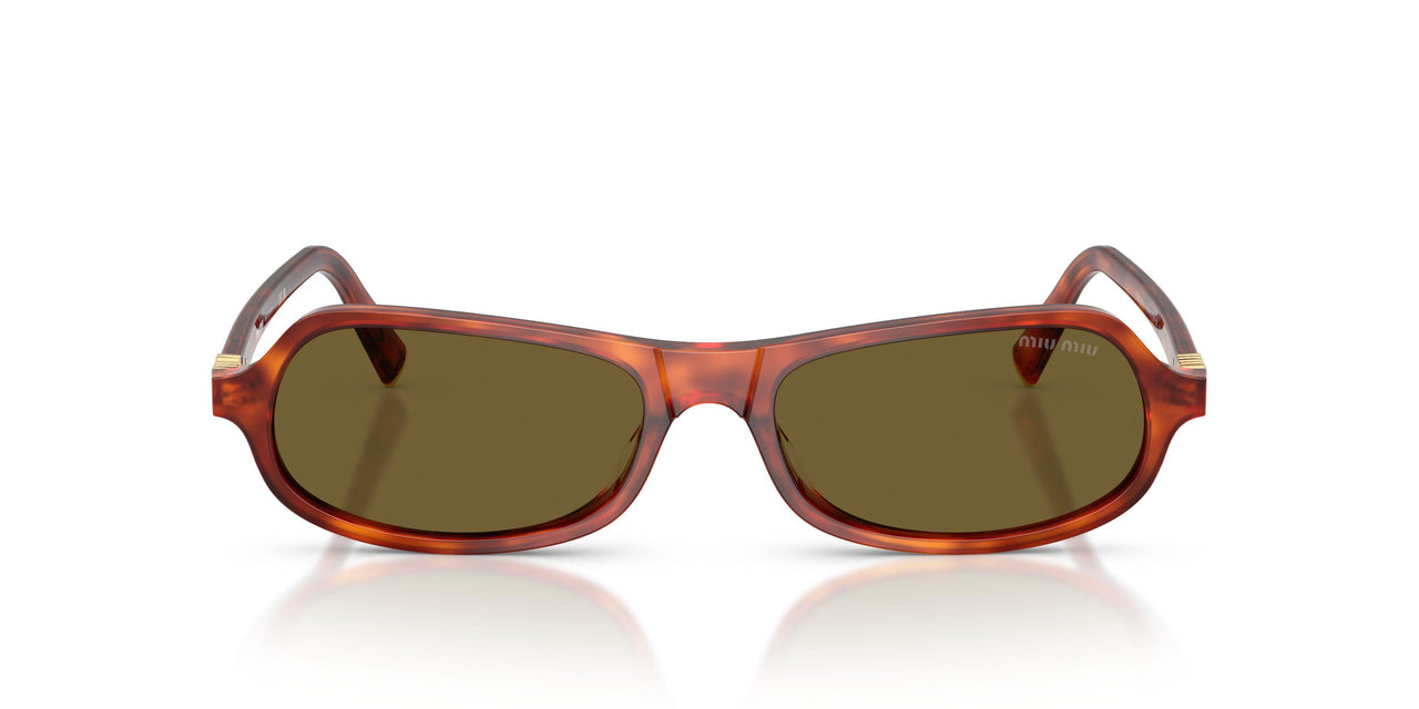 11P09Z - Brown - Dark Brown