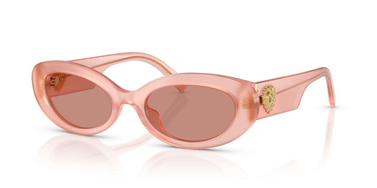 Dolce & Gabbana 4537 Sunglasses