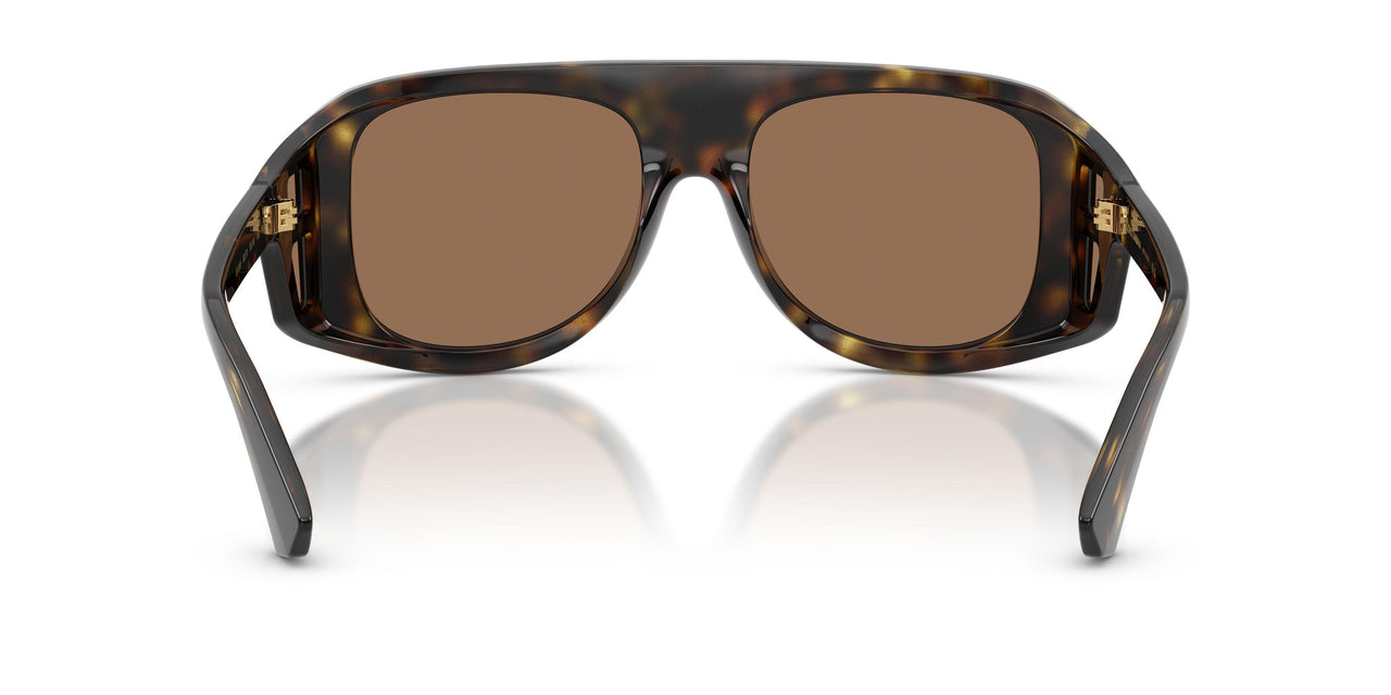 502/73 - Tortoise - Dark Brown