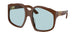 24D20R - Brown - Light Blue