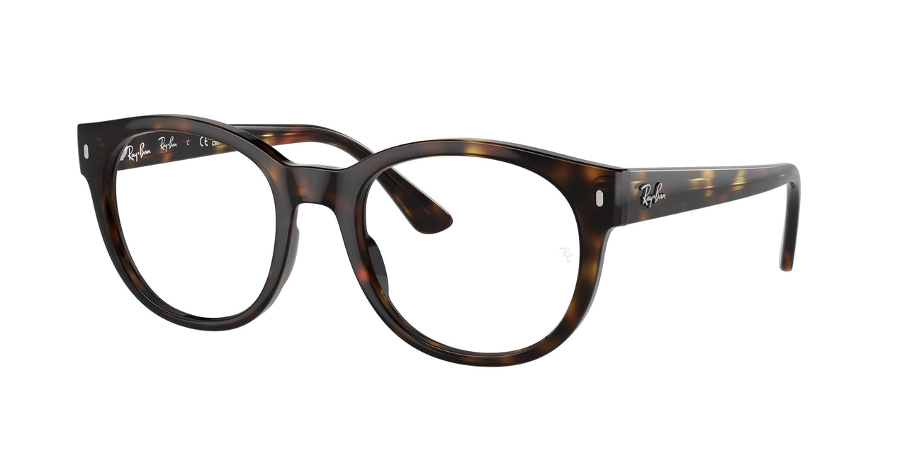 Ray-Ban 7227F Eyeglasses