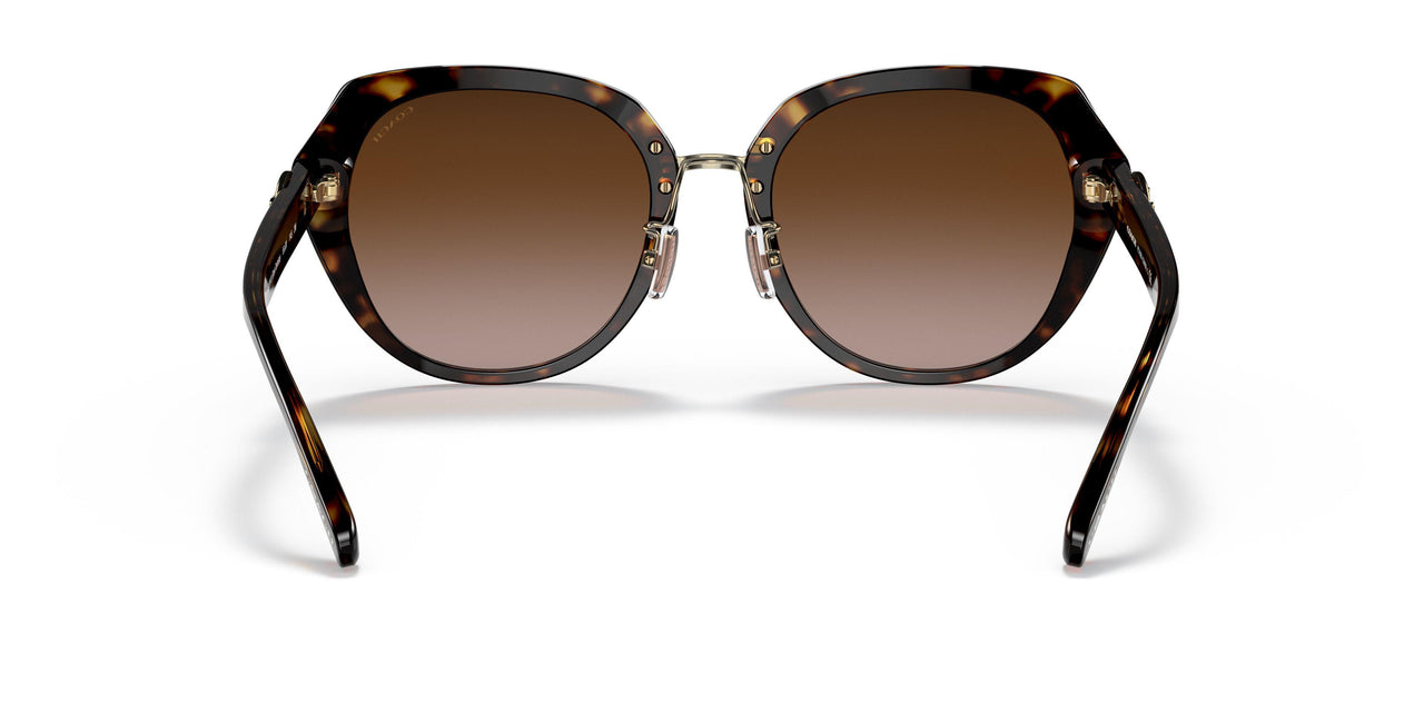 512013 - Havana - Brown Gradient