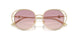 300668 - Gold - Brown Gradient Violet