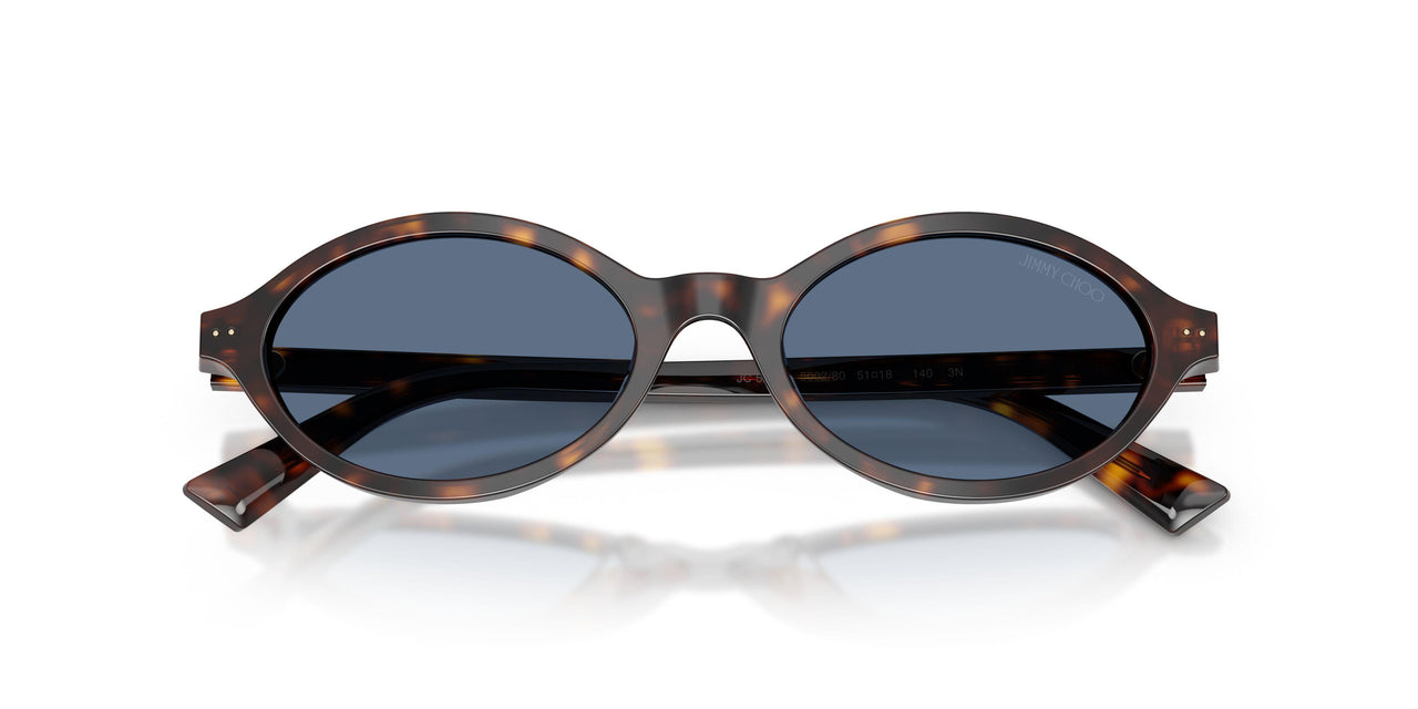 500280 - Tortoise - Blue