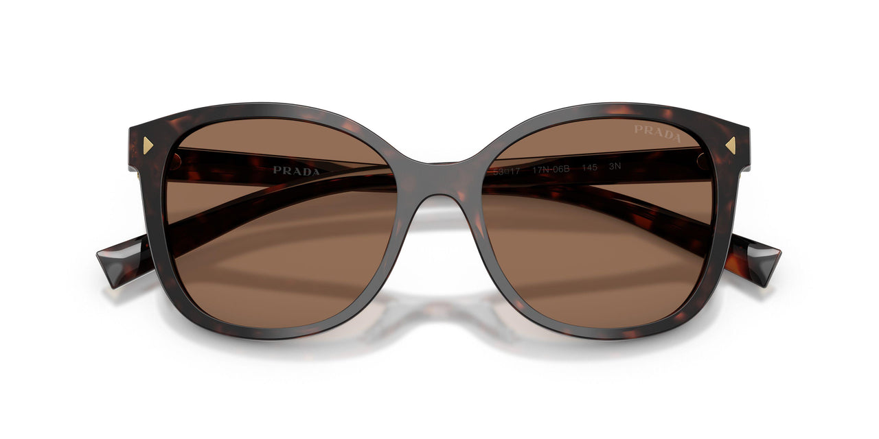 17N06B - Tortoise - Dark Brown