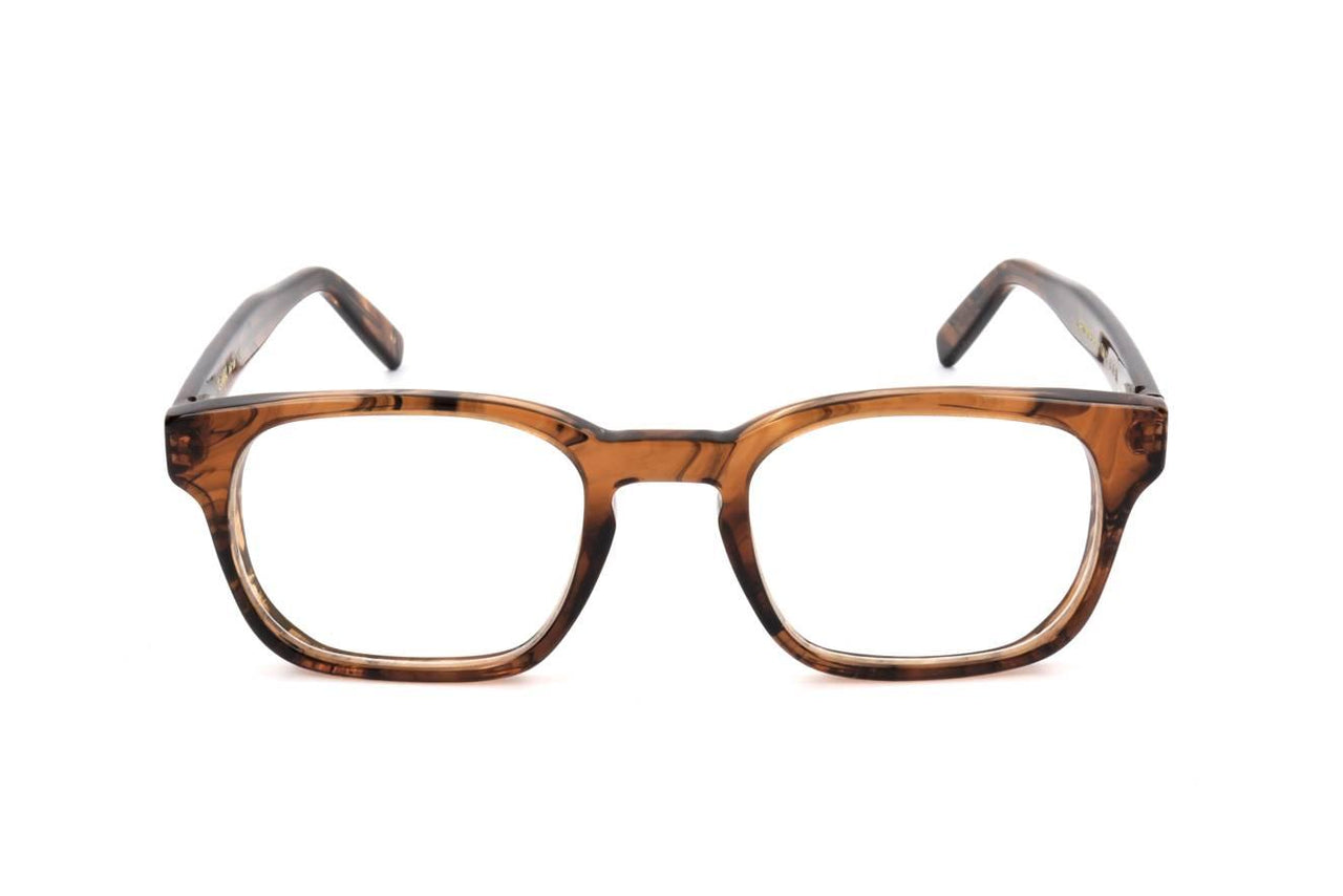 43 - HAVANA BROWN