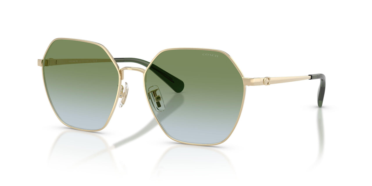 Coach Cfu05 7194 Sunglasses