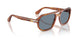 96/56 - Brown - Light Blue