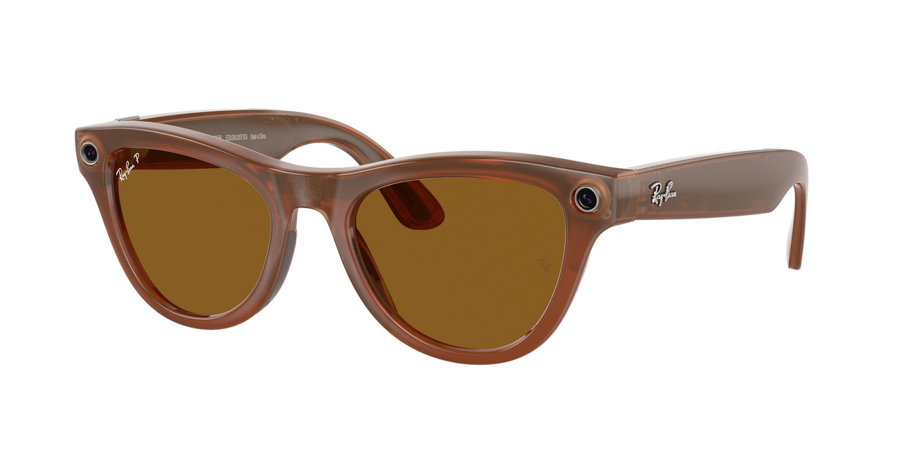 Ray-Ban Meta Skyler 4010 Sunglasses