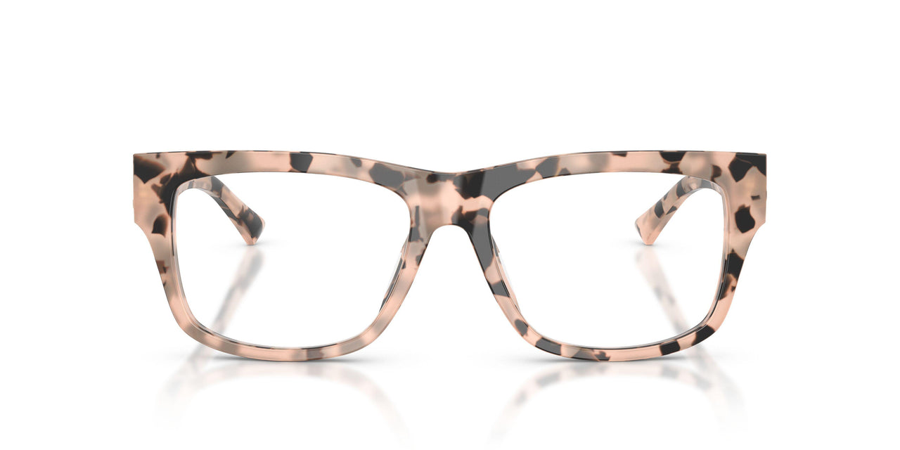 5080 - Tortoise