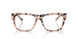 5080 - Tortoise