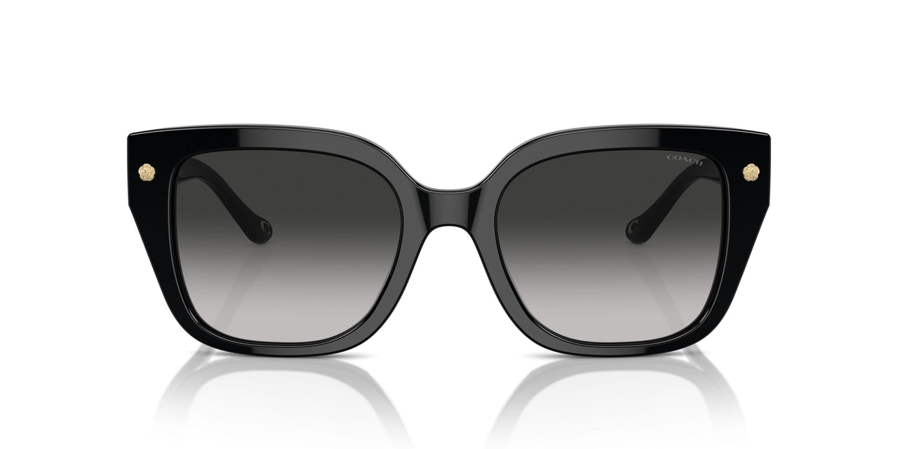 50023C - Black - Grey Gradient