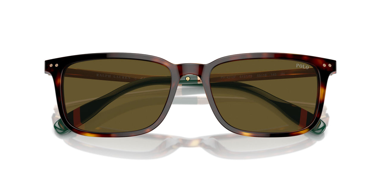 613773 - Tortoise - Olive Green